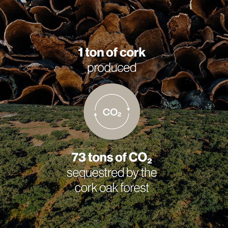 corkeen-cork-carbon-uptake.jpg